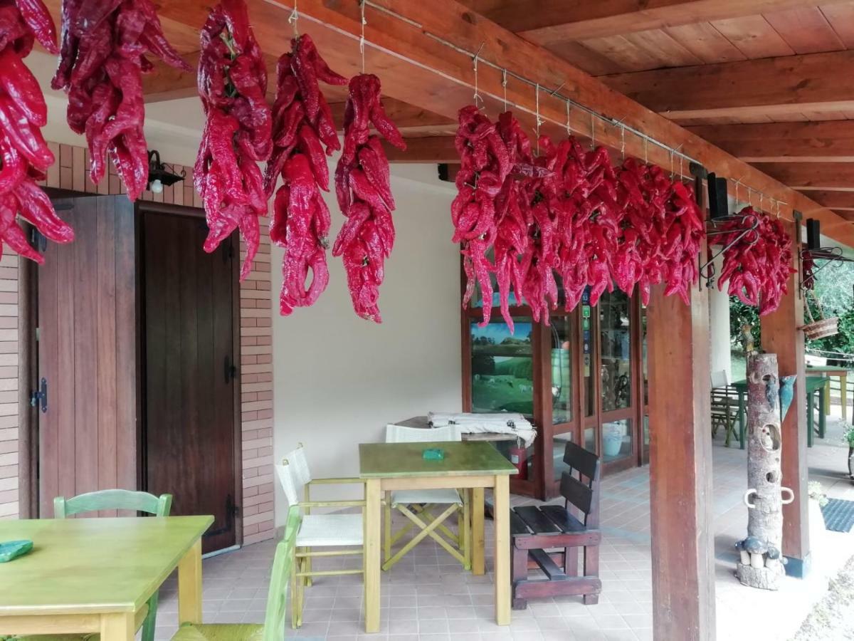 Le Chalet Del Pollino Rotonda Exterior photo